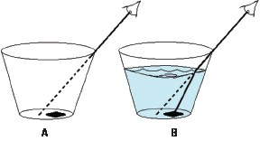 Fig14B-1New.ai